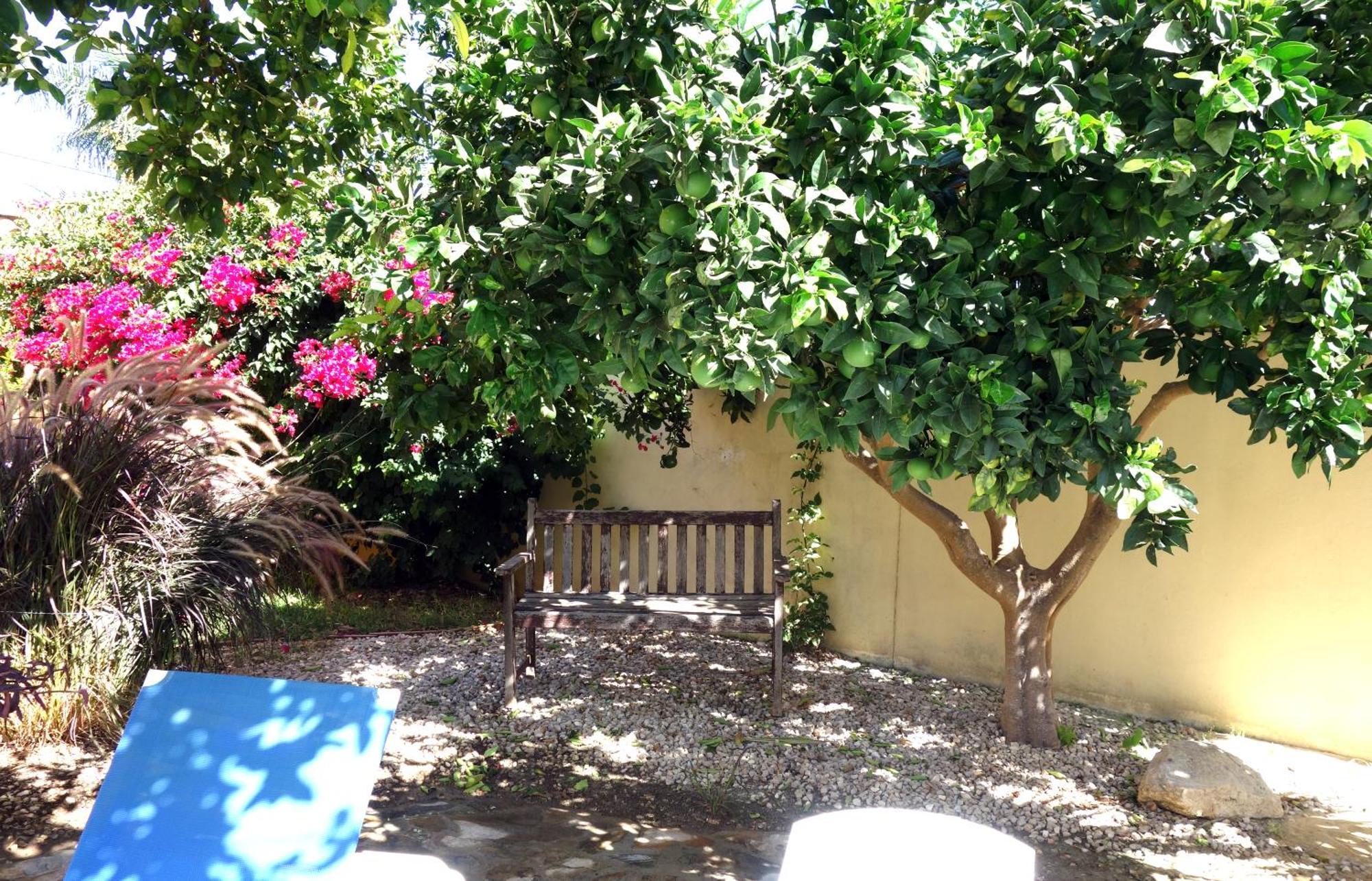 Casa Limon - Ferienhaus - Pool - Klimaanlage - W-Lan Chiclana de la Frontera Esterno foto